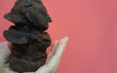 YO YA TENGO MI GOYA…de bizcocho de chocolate!