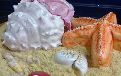 CARACOLA CAKE!!!