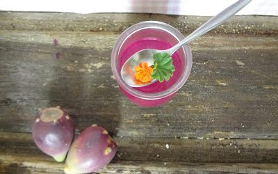 RECETA MOUSSE DE TUNO INDIO ¡¡¡sin colorantes!!! Además de bonito, de lo más sano!