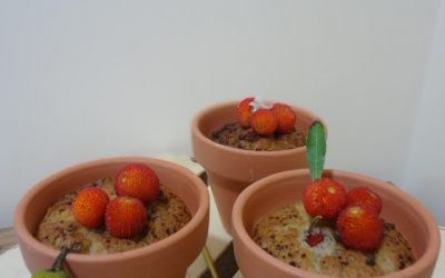 RECETAS CON MADROÑOS: MERMELADA Y BIZCOCHITOS HORNEADOS EN TIESTOS